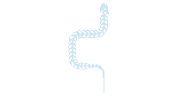 Scroll indicator